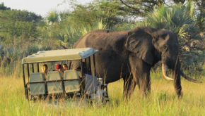 Tembe Elephant Park Lodge